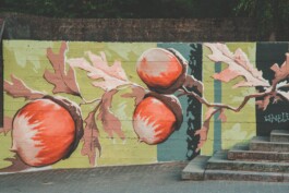 RUA Festival