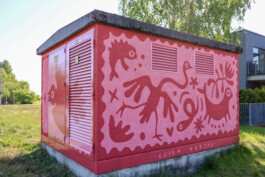 RUA Festival